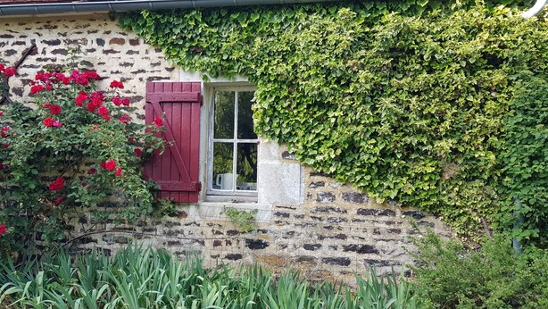 A rustic stone building with a red door and a window, surrounded by lush greenery and red flowers. - Pretty country house with large garden (Diges)