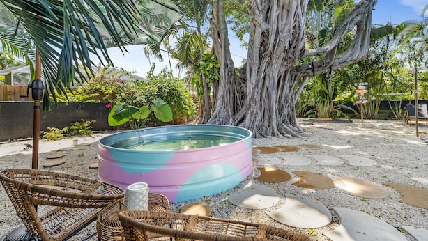 A pool with a colorful interior, surrounded by a garden with tropical plants and a large tree.