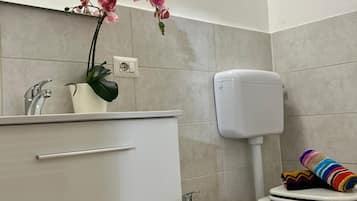 Douche, sĂšche-cheveux, bidet, serviettes fournies