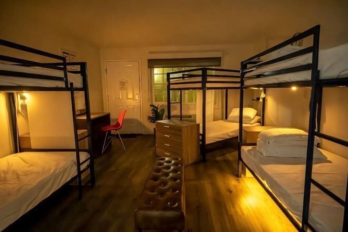 Une chambre de dortoir avec des lits superposés, un bureau, une chaise et une petite plante.