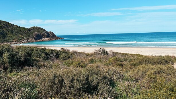 Ein Strand mit blauem Himmel, sandigem Ufer und dichter Vegetation im Vordergrund.