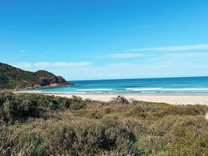 A beach with clear skies, a sandy shore, and dense vegetation in the foreground.