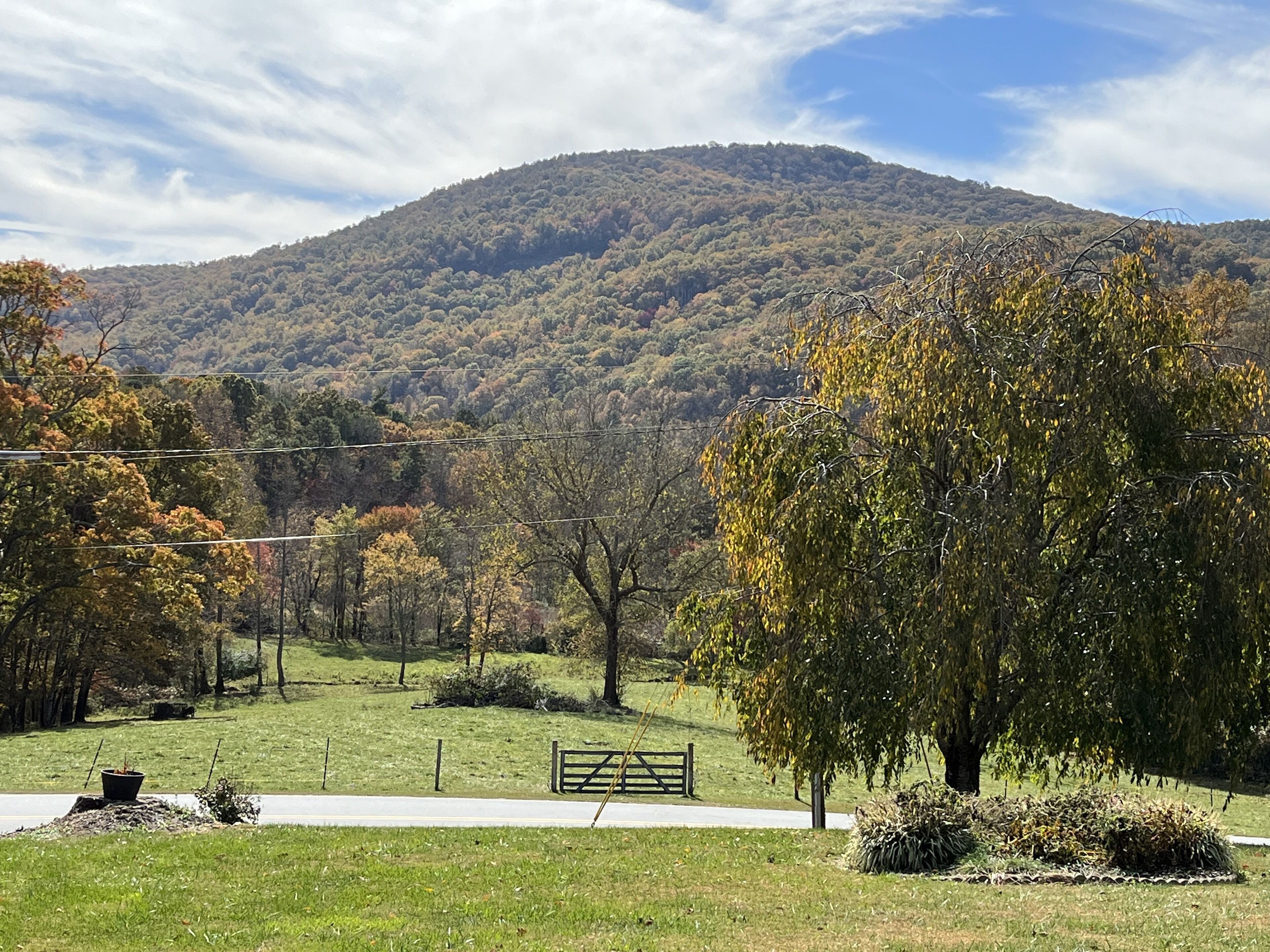 A rural landscape with a grassy field, a wooden gate, and a hill in the background.