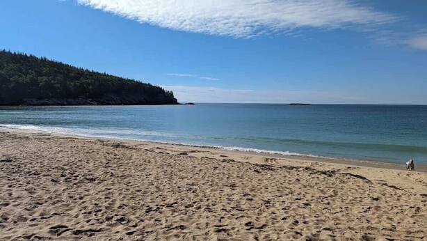 Ein sandiger Strand mit einem bewaldeten Hügel im Hintergrund.