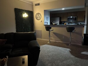 Interior - Apartment in Houston galleria mall area (Houston)