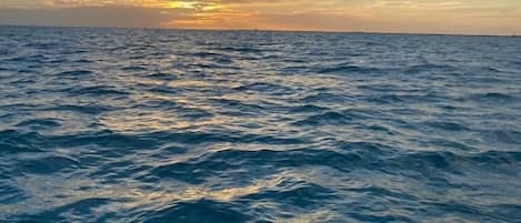 Sun-loungers, beach towels