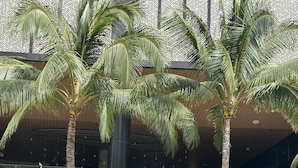 Exterieur