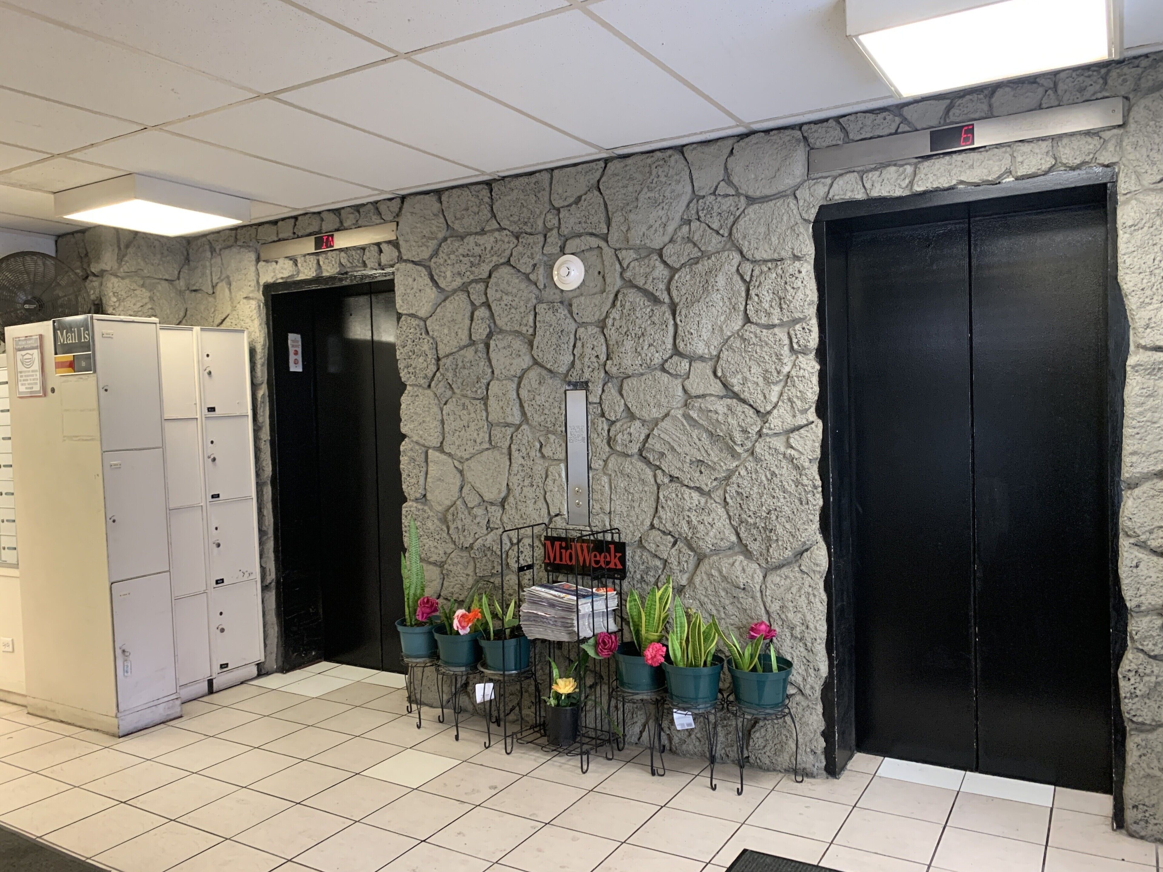 Un vestíbulo con pared de piedra, dos puertas negras, buzones y plantas en macetas.