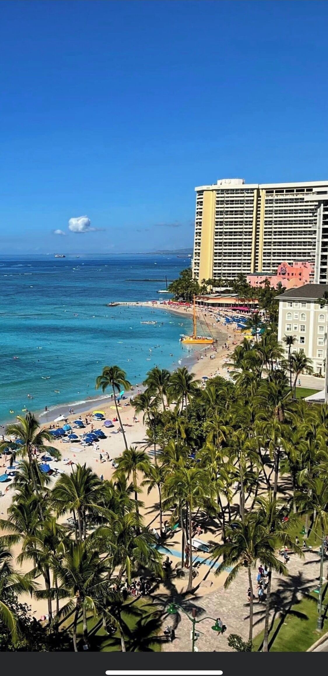 Una playa con palmeras, un hotel y el océano.