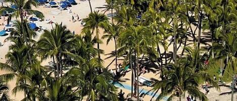 A beach with palm trees, a hotel, and the ocean.