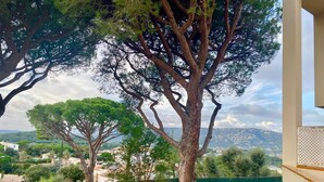 Un quartier résidentiel avec un grand arbre au premier plan, une clôture verte et une vue sur une ville en arrière-plan.