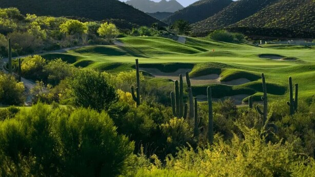 A golf course with cacti and green hills in the background.