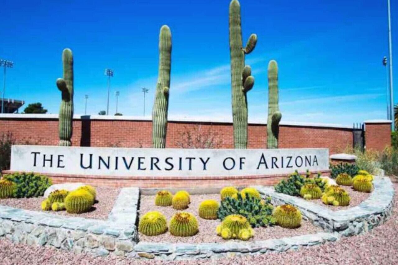 Schild der University of Arizona mit Kakteen im Vordergrund.