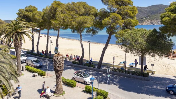 A coastal road with a beach in the background, lined with trees and parked cars. - GIGLIO E MAREA - MAREA (Campo nell'Elba)