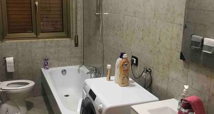 Comfortable central apartment