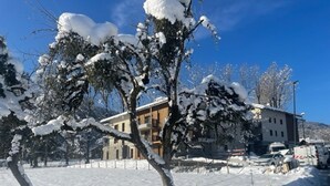 A building with a modern design, surrounded by snow-covered trees and a clear blue sky.