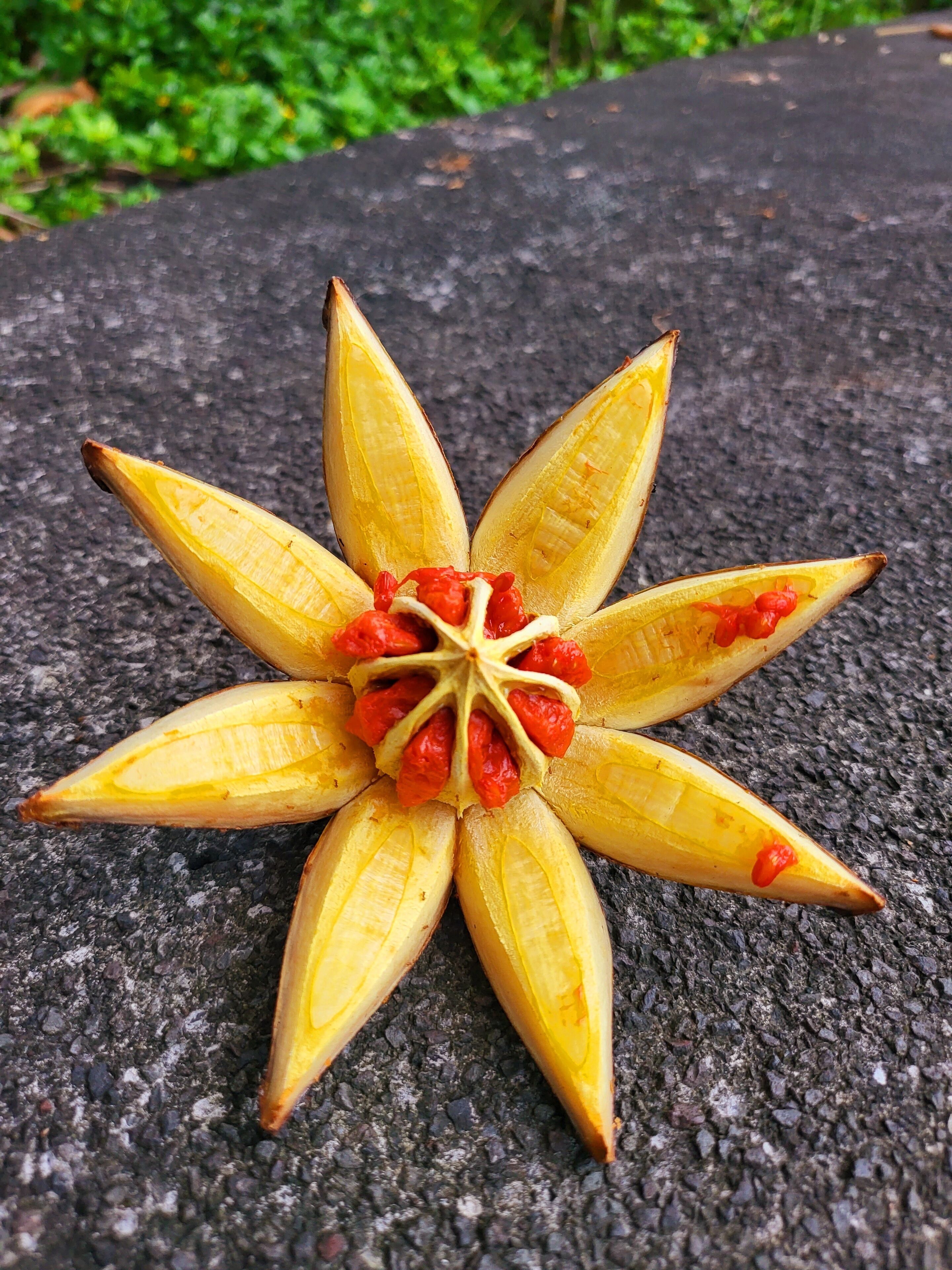 Flores de plátano dispuestas en forma de estrella sobre una superficie texturizada.