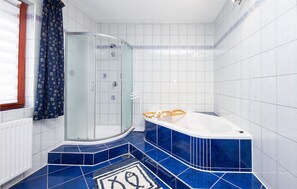 Combined shower/tub, hair dryer