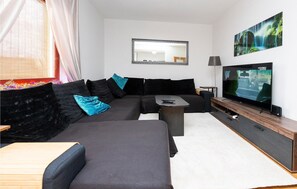 TV, DVD player, ping pong
