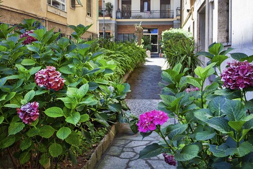 Vespucci Blue Apartment by Wonderful Italy