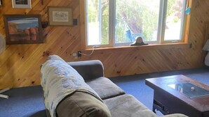 Uklassifisert bilde, 4 av 7, knapp