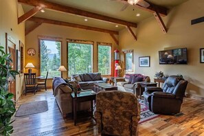 TV, fireplace, books, offices