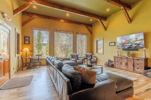 Télévision, cheminée, espaces bureaux