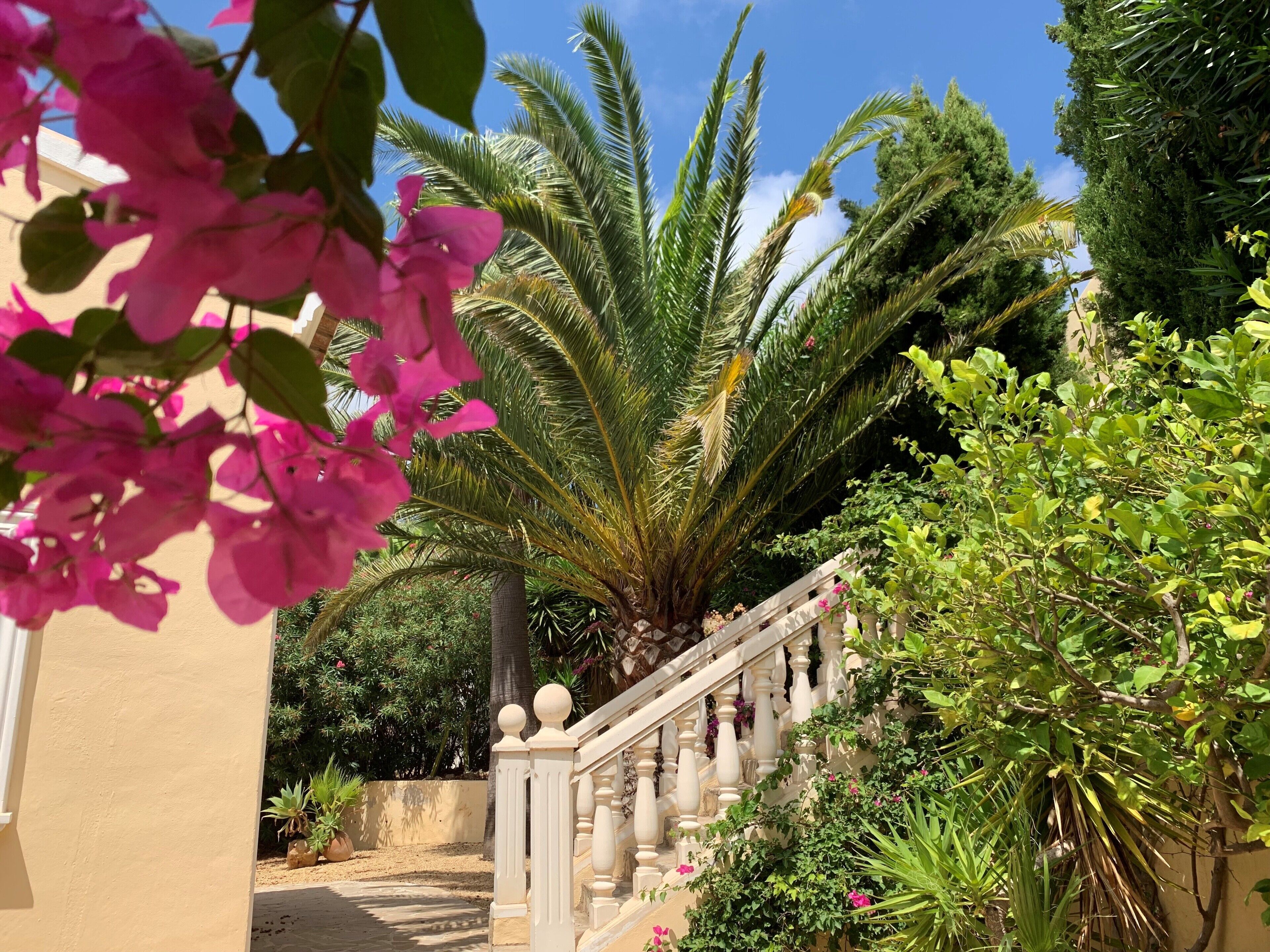 Jardines del alojamiento