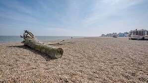 A pebbled beach with a large log in the foreground and a boat named "IH140" in the background.
