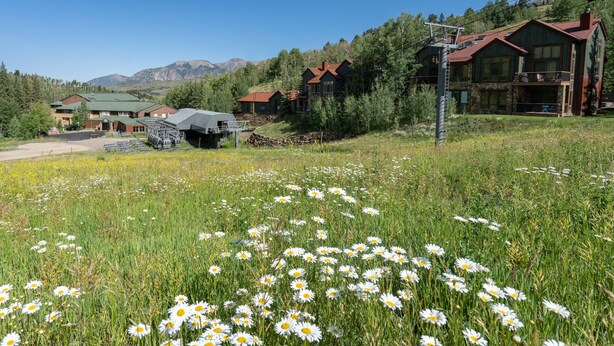 Un hôtel doté d’un toit végétalisé, d’un espace extérieur couvert et d’un champ de marguerites au premier plan.