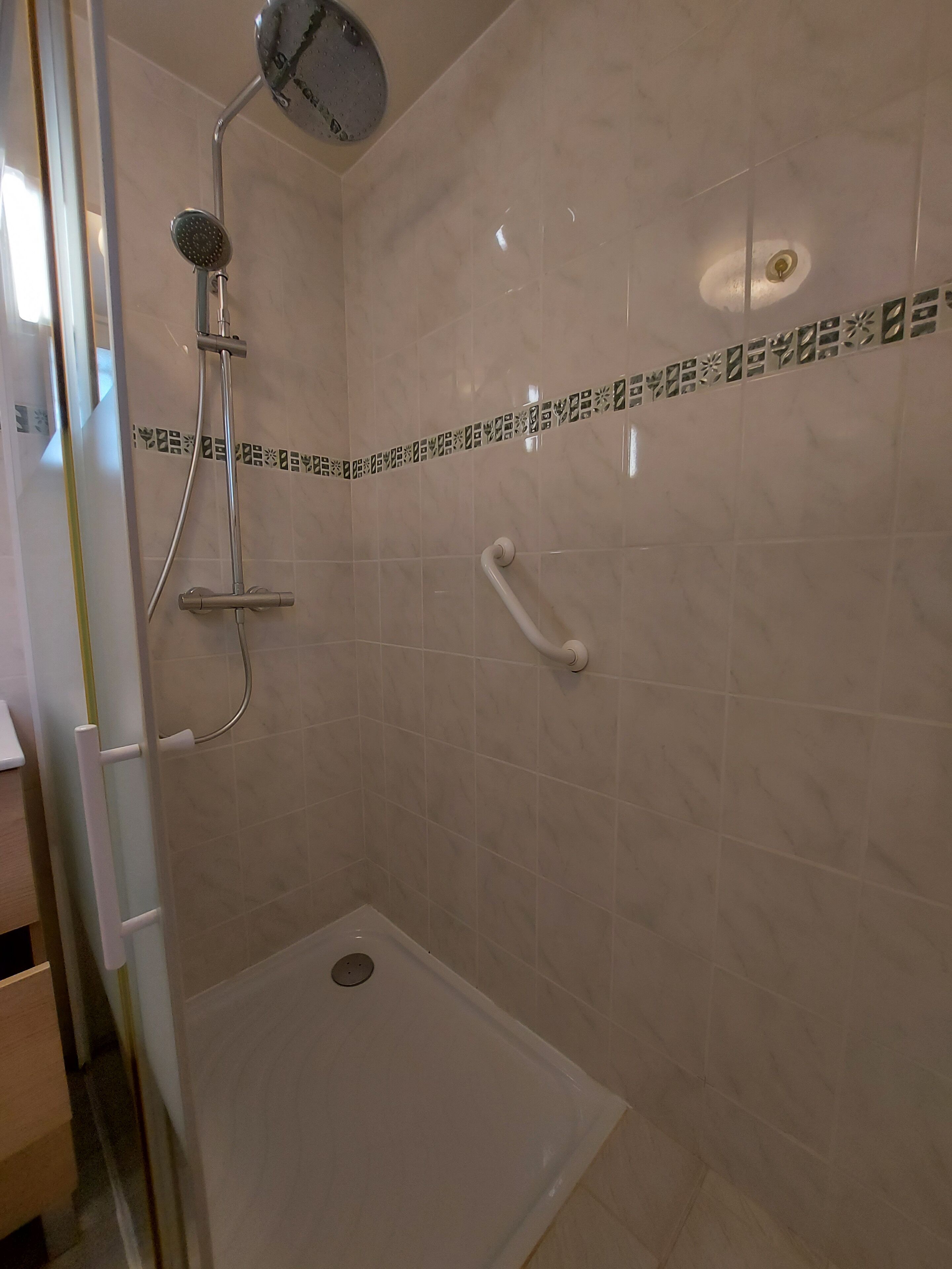 A shower area with a glass door, a handheld showerhead, a wall-mounted faucet, and a handrail.