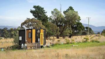 A small cabin with a wooden exterior, a black door, and a yellow window, surrounded by trees and a grassy field.