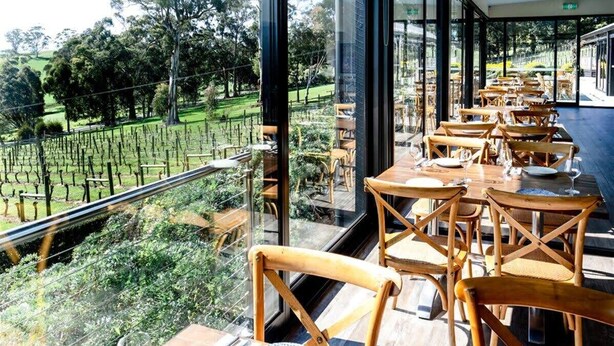 Ein Restaurant mit Außenbestuhlung mit Blick auf einen Weinberg.
