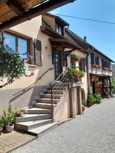 Quiet house with beautiful hiking trails to recharge your batteries