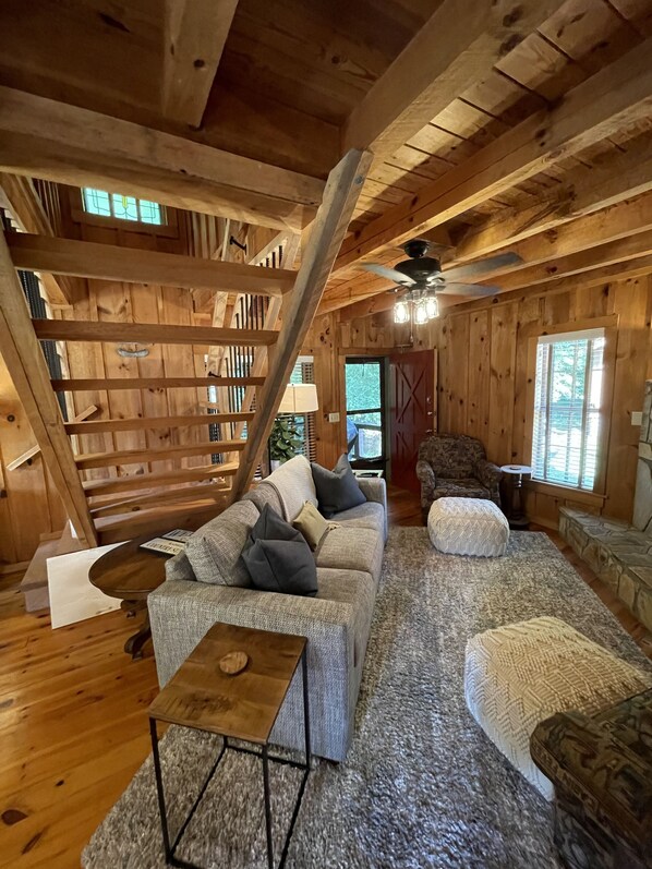 Smart TV, fireplace, books