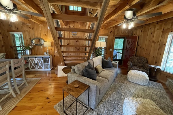 Smart TV, chimenea, libros