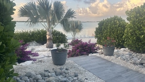 A pathway leading to a beach with palm trees, potted plants, and a view of the sea. - Private Beachfront Luxury Villas with Dock & Heated Pools – Perfect for 10 Guests (George Town, Exuma)