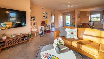 Smart TV, fireplace, books