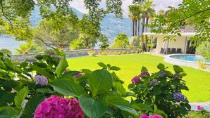 A well-maintained lawn with a pool, surrounded by lush greenery and flowering plants.