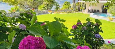 A well-maintained lawn with a pool, surrounded by lush greenery and flowering plants.
