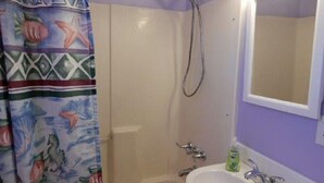 Une salle de bain avec une douche, un lavabo et un miroir.