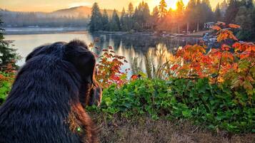 3 bedrooms, travel crib, free WiFi, bed sheets