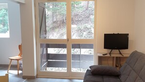 Un saló amb un sofà, una televisió, una taula de fusta i una cadira. Hi ha una porta corredissa de vidre que dona a una zona exterior amb arbres.