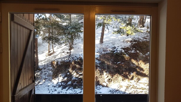Una porta amb dues finestres, cadascuna amb vista a un paisatge nevós amb arbres.