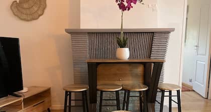 Appt n°3 - LA VILLA DEKO - Sleeps 6! At the gates of Béthune
