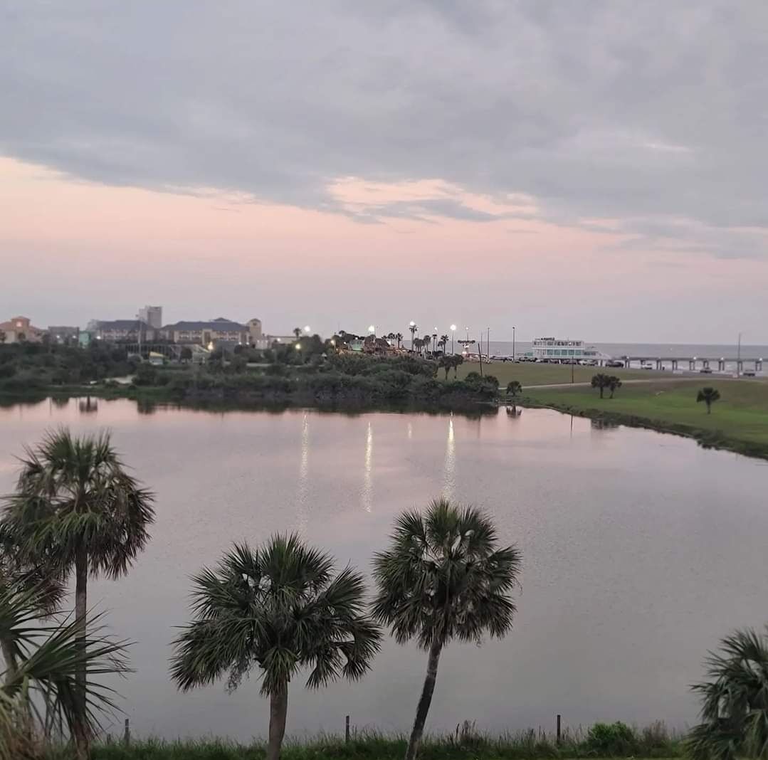 A calm lake with palm trees in the foreground, a pier extending into the water, and buildings in the background.