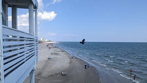 A beach with a white building, a clear sky, and a bird flying. - Club Paradise Beach Condo-Top Floor, Ocean View, King Bed, Pet Friendly (Galveston)