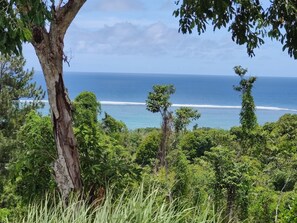 A coastal landscape with dense greenery and a view of the ocean. - Belle Balise (Korolevu)