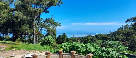 A fire pit area with seating, surrounded by trees and a view of the ocean.