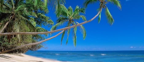 Una playa cerca, sillas reclinables de playa, sombrillas